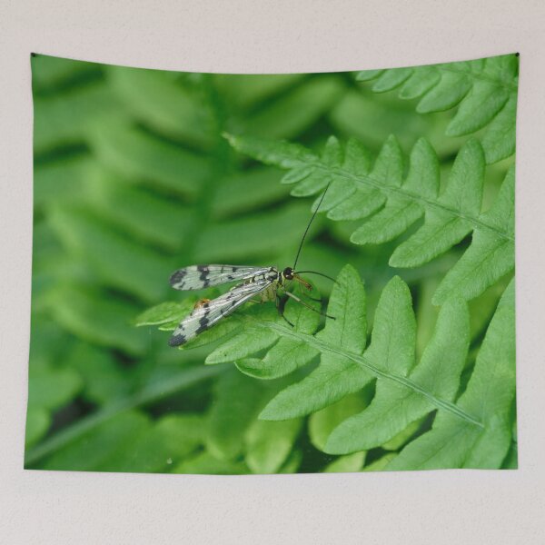 Item preview, On the green world. Scorpion Fly designed and sold by Jouko Lehto Photography.
