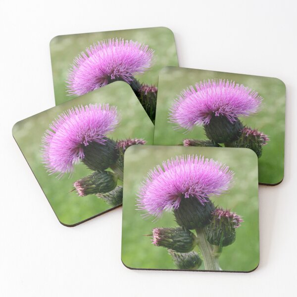 Item preview, Paint it pink. Melancholy Thistle designed and sold by Jouko Lehto Photography.
