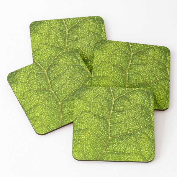 Item preview, Leaf close-up designed and sold by Bunchable.