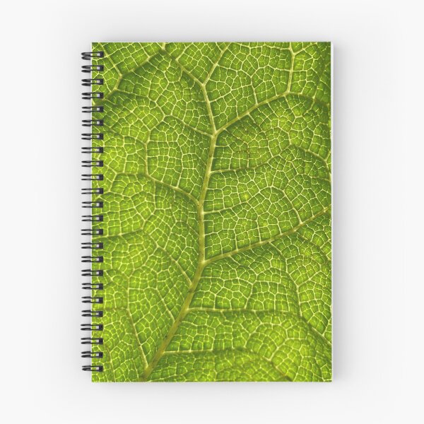 Item preview, Leaf close-up designed and sold by Bunchable.