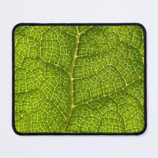 Item preview, Leaf close-up designed and sold by Bunchable.