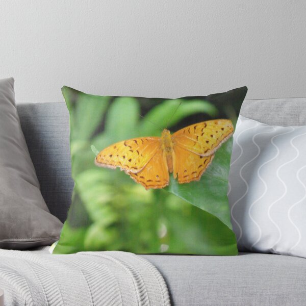 Item preview, Male Cruiser Butterfly designed and sold by Kymbo.