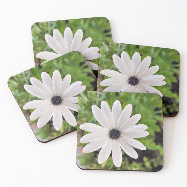 Item preview, African Daisy designed and sold by Mystical Fairy Forage.