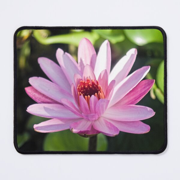 Item preview, Hlk Lotus designed and sold by pcfyi.