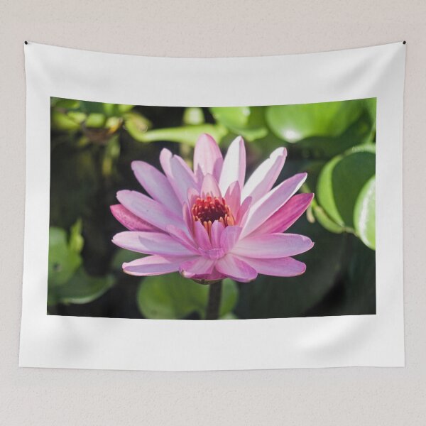 Item preview, Hlk Lotus designed and sold by pcfyi.
