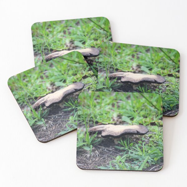 Item preview, Wild Mushroom designed and sold by Cynthia48.