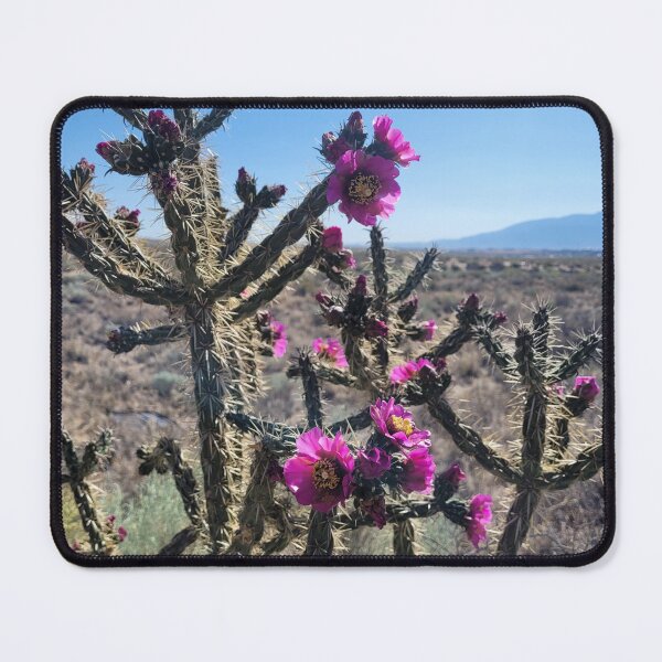 Item preview, Cholla Desert Cactus designed and sold by Mystical Fairy Forage.
