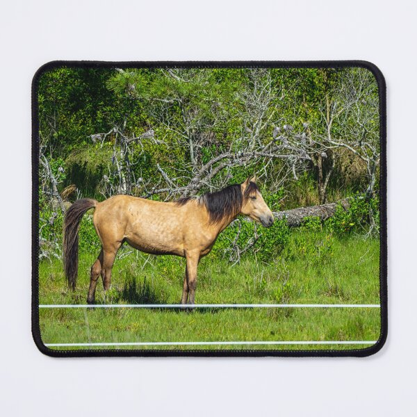 Item preview, Lone and Wild Brown Pony designed and sold by ShorelineImages.
