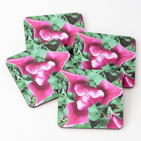 Item preview, Bright Fuchsia Flower designed and sold by MeadowMoon.