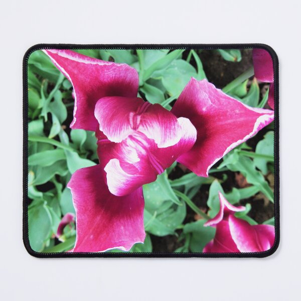 Item preview, Bright Fuchsia Flower designed and sold by MeadowMoon.