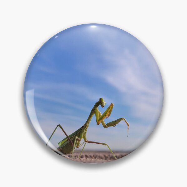 Item preview, Mantis religiosa designed and sold by Mystical Fairy Forage.