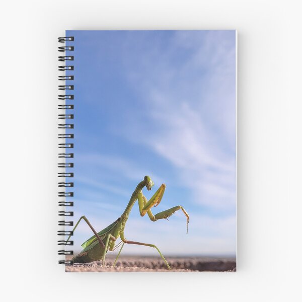 Item preview, Mantis religiosa designed and sold by Mystical Fairy Forage.