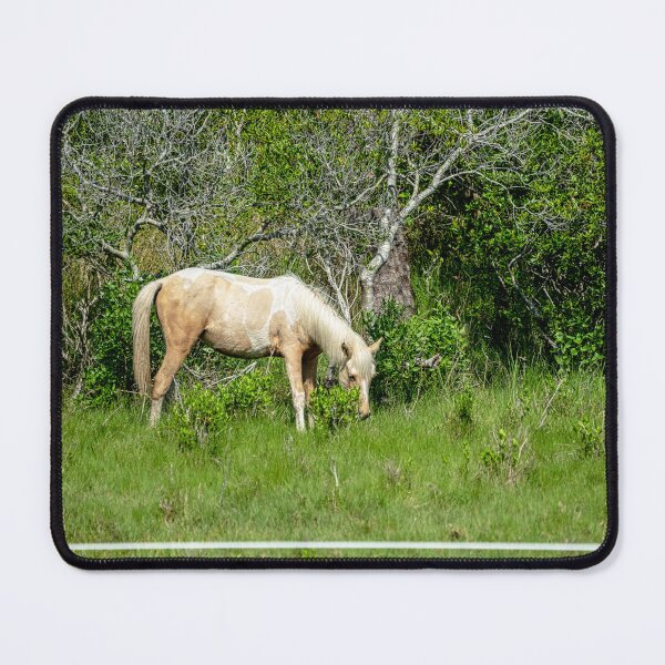 Item preview, Chincoteague Island Pony designed and sold by ShorelineImages.