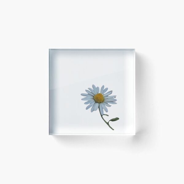 Item preview, White Daisy Flower Photo designed and sold by Mystical Fairy Forage.