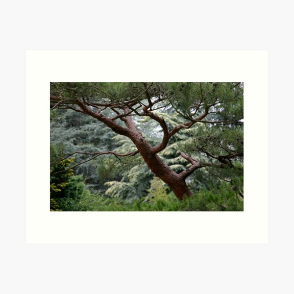 Item preview, A Twisted Tree designed and sold by Barb White.