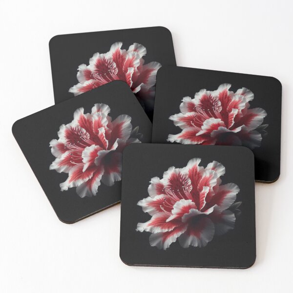Item preview, Red White Azalea Flower on Black background designed and sold by SolaoLab.