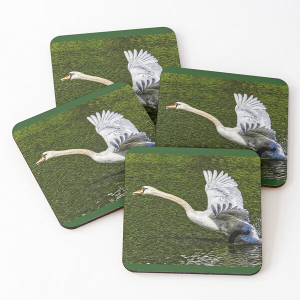 Item preview, swan take off action designed and sold by ChimaGraphics.