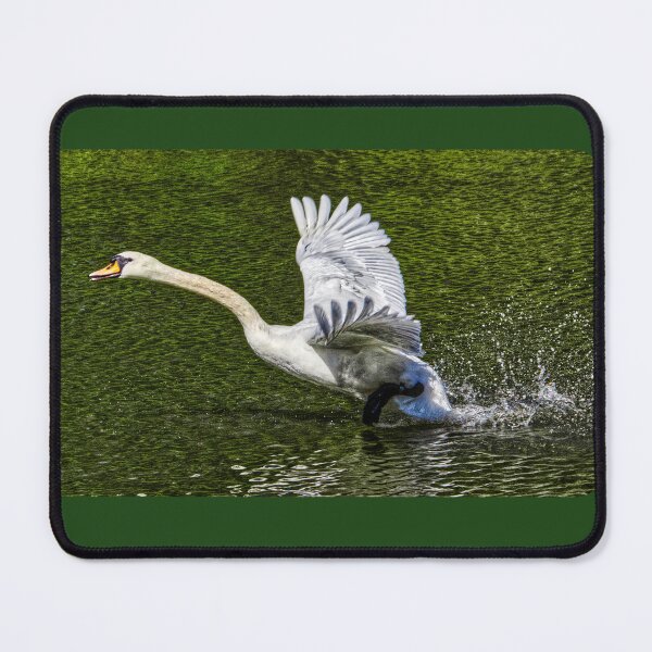 Item preview, swan take off action designed and sold by ChimaGraphics.