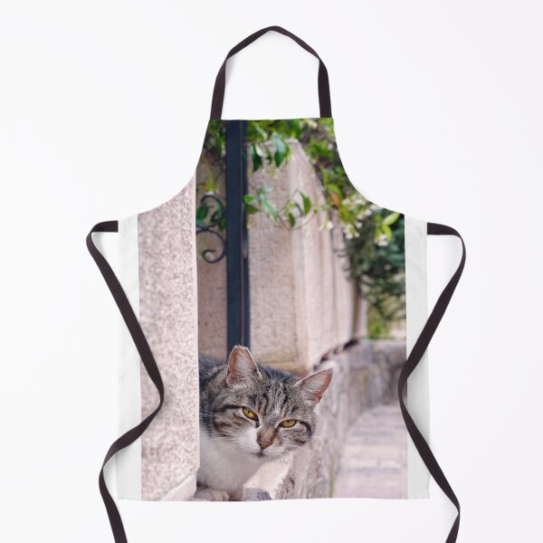 Item preview, Cat in Kotor  designed and sold by Chen He.