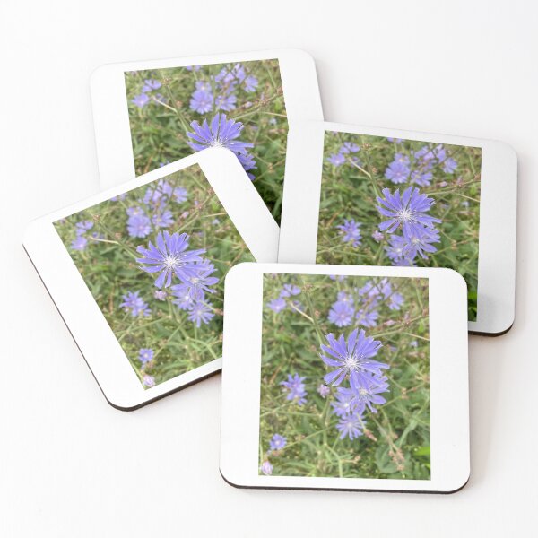 Item preview, Chicory Morning designed and sold by BoboSparkArt.