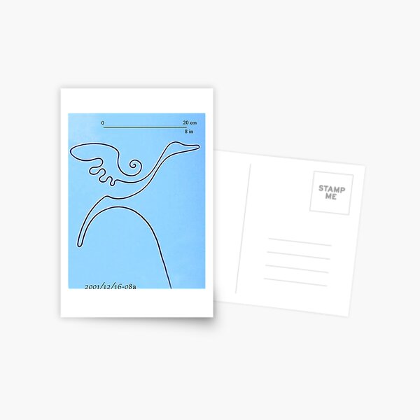 Flying Duck Postcard