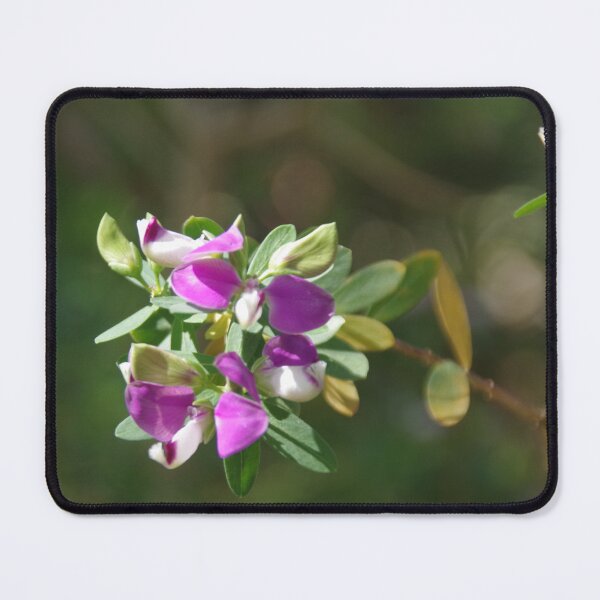Item preview, Wild Purple Pea designed and sold by lezvee.
