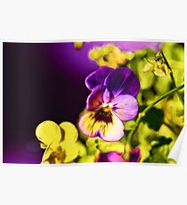 Elegant Viola Poster