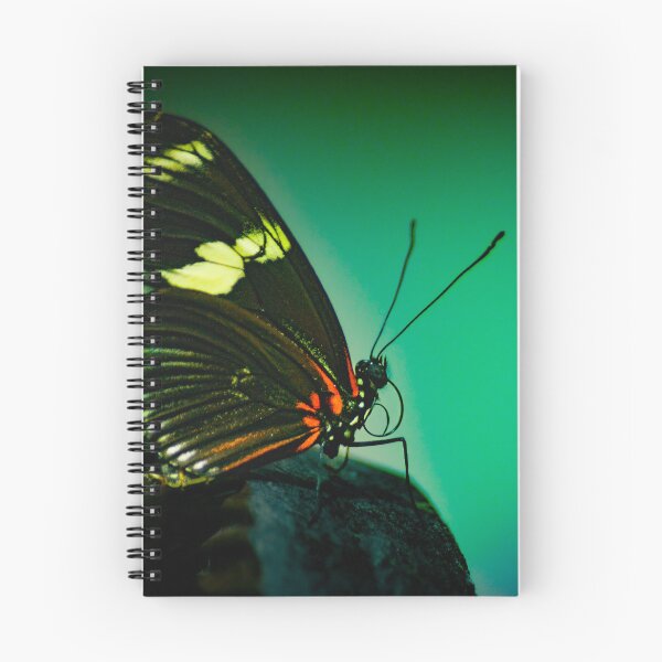 Item preview, Butterfly in Silence – Nature’s Grace designed and sold by Francois Quartiers.