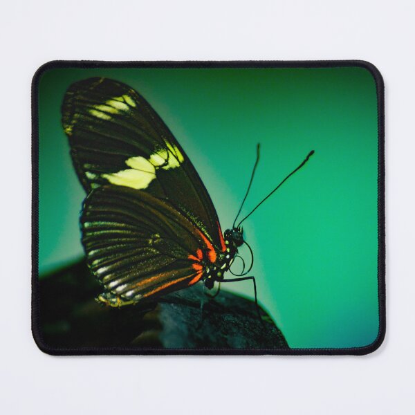 Item preview, Butterfly in Silence – Nature’s Grace designed and sold by Francois Quartiers.