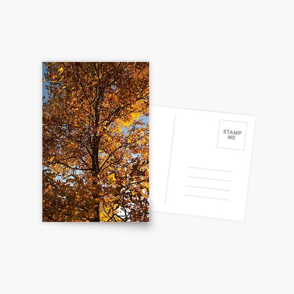 Item preview, Blazing Leaves designed and sold by plains flora.