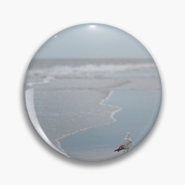 Item preview, A Seagull’s snack designed and sold by EvelynGracePhotography.