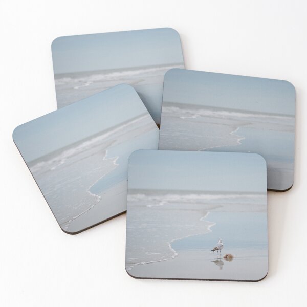 Item preview, A Seagull’s snack designed and sold by EvelynGracePhotography.