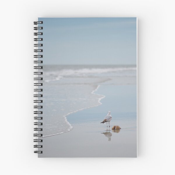 Item preview, A Seagull’s snack designed and sold by EvelynGracePhotography.