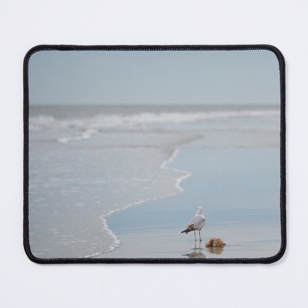 Item preview, A Seagull’s snack designed and sold by EvelynGracePhotography.