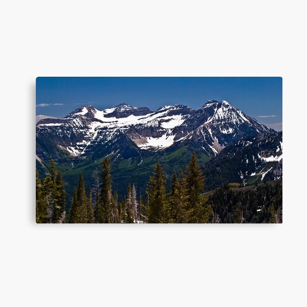 Mt. Timpanogos Canvas Print