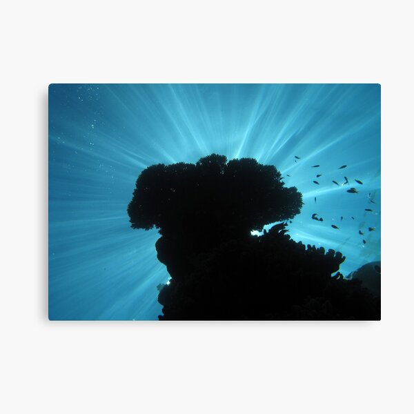 Light Beams III Canvas Print