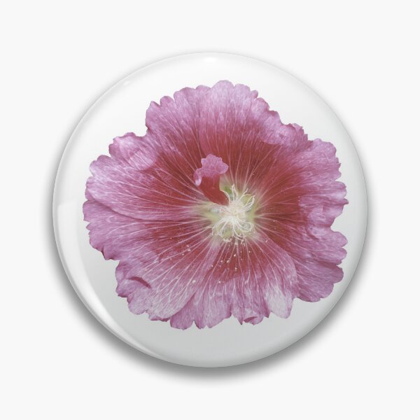 Item preview, Isolated Hollyhock 7-11-25 designed and sold by Thomasyoung.