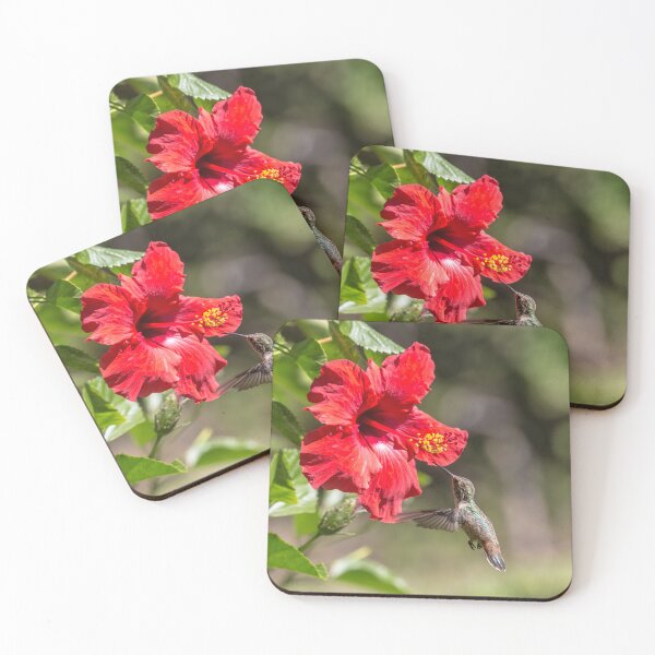 Item preview, Colibrí visitando una flor de hibisco designed and sold by CarolM.