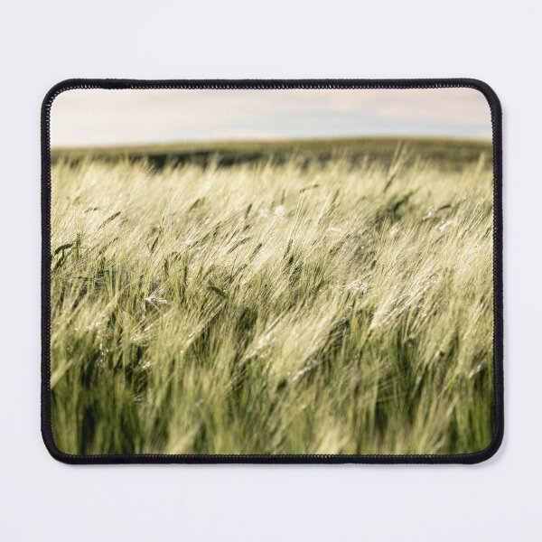 Item preview, Close Up Alberta Wheat Field designed and sold by Don Arsenault.