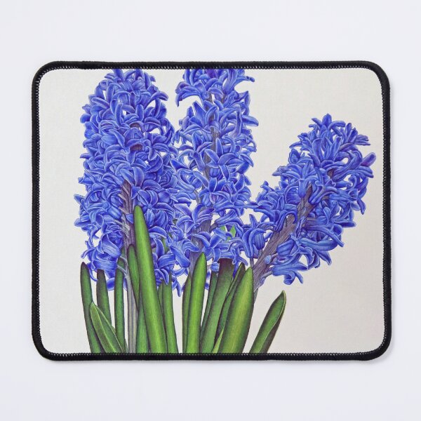 Item preview, Hyacinth designed and sold by joeyartist.