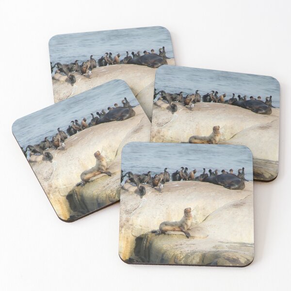 Item preview, Birds and Beasts Together designed and sold by heatherfriedman.