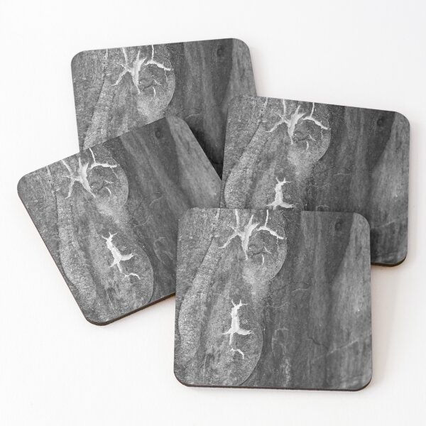 Item preview, Tree Bark Abstract designed and sold by Salieri1627.
