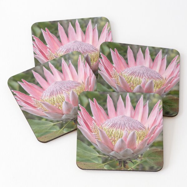 Item preview, KING PROTEA # 3 designed and sold by Salieri1627.