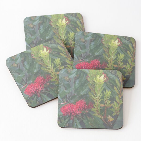Item preview, WARATAHS IN THE MIST # 9 designed and sold by Salieri1627.