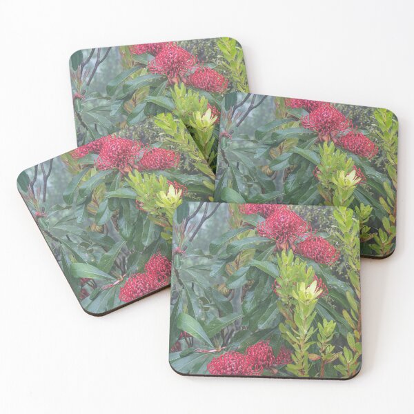 Item preview, WARATAHS IN THE MIST # 7 designed and sold by Salieri1627.