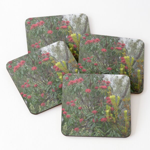 Item preview, WARATAHS IN THE MIST # 5 designed and sold by Salieri1627.