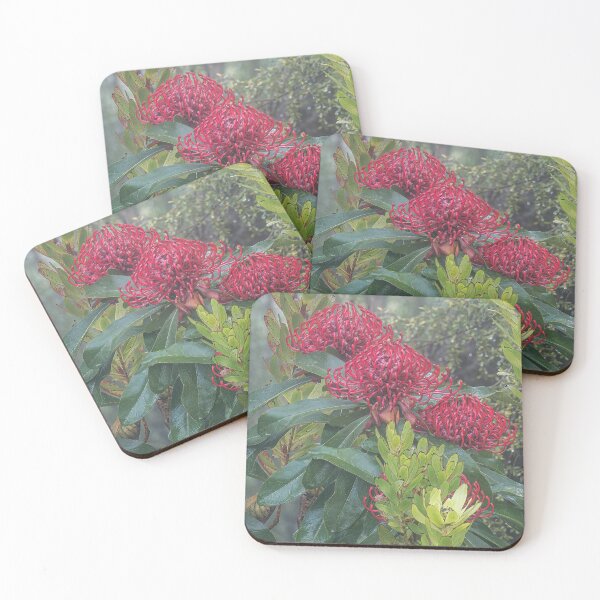 Item preview, WARATAHS IN THE MIST #4  designed and sold by Salieri1627.
