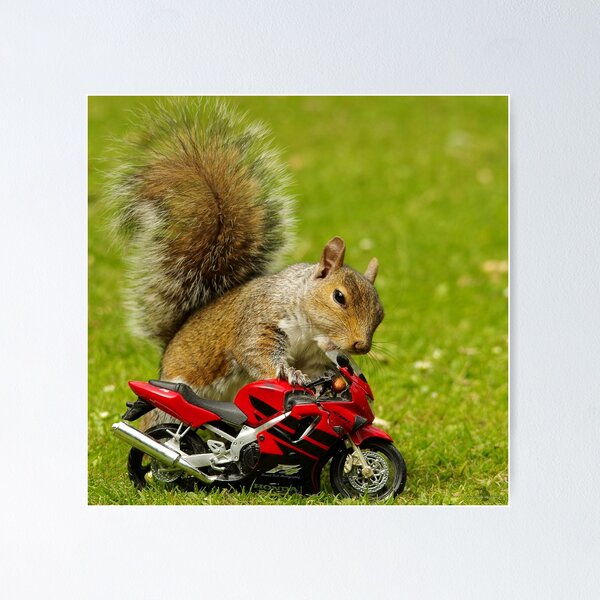 Item preview, squirrel on motorcycle  designed and sold by Simon-dell.