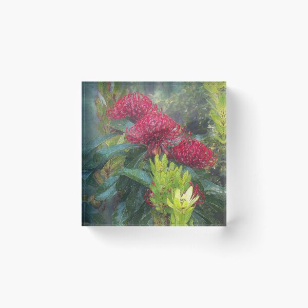 Item preview, WARATAHS IN THE MIST #2  designed and sold by Salieri1627.