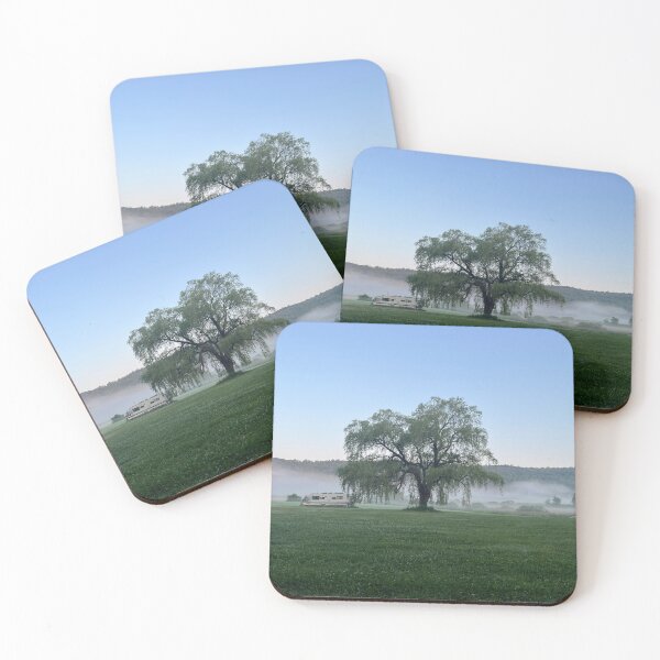 Item preview, Foggy designed and sold by Roam with Nicole.